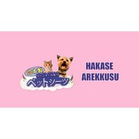 HAKASE AREKKUSU