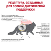 Royal Canin (Роял Канин) Urinary S/O Moderate Calorie Feline Корм сухой диетический для взрослых кошек при мочекаменной болезни
