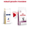 Royal Canin (Роял Канин) Renal RF 23 Feline Корм сухой диетический для взрослых кошек для поддержания функции почек