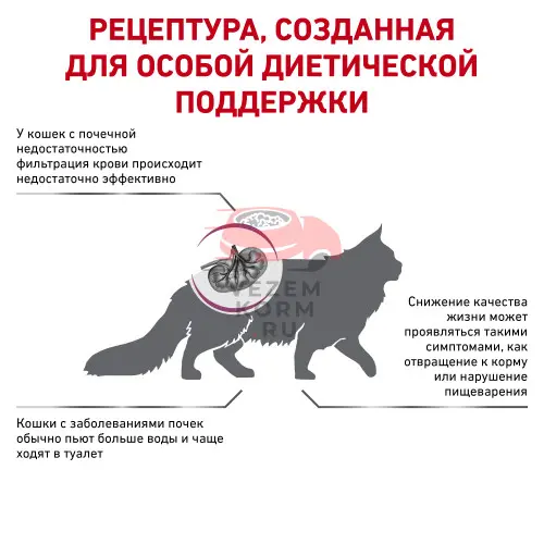 Royal Canin (Роял Канин) Renal RF 23 Feline Корм сухой диетический для взрослых кошек для поддержания функции почек