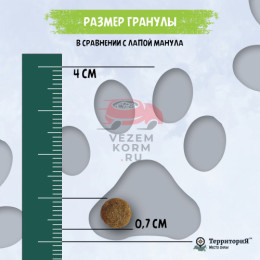 Кавказ Индейка с брусникой сухой корм для стерилизованных кошек