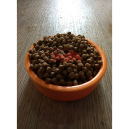 ProBalance (Пробаланс)  Cat 1st Diet Kitten сухой корм для котят с цыпленком