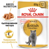 Royal Canin (Роял Канин) British Shorthair Adult Корм консервированный для взрослых британских короткошерстных кошек,соус