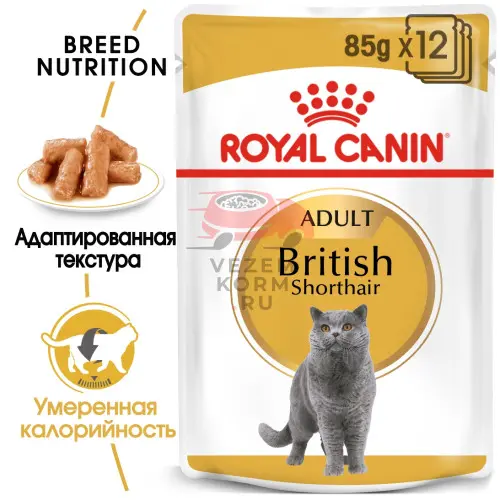 Royal Canin (Роял Канин) British Shorthair Adult Корм консервированный для взрослых британских короткошерстных кошек,соус