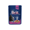 Brit Premium Кошачьи мешочки с лососем и форелью
