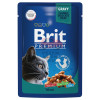 Brit Premium Пауч утка в соусе для взрослых кошек