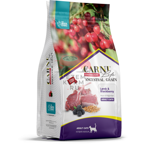 CARNI LIFE Adult (Карни Лайф) ягенок с ежевикой для кошек