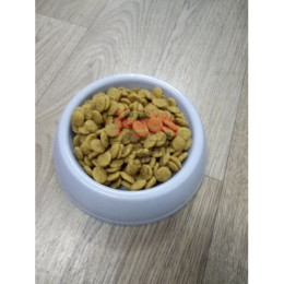 Royal Canin (Роял Канин) Mini Dermacomfort корм для собак весом до 10 кг с чувствительной кожей, склонной к раздражениям