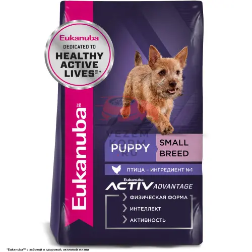 Eukanuba Puppy Small Breed сухой корм для щенков мелких пород в возрасте от 1 до 12 месяцев