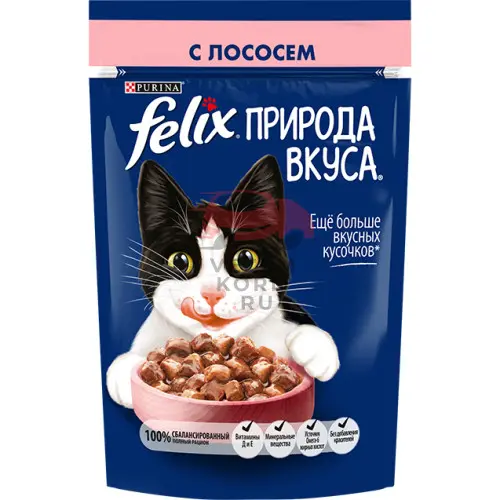 Felix (Феликс) Природа вкуса с лососем в соусе