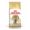 Royal Canin British Shorthair Adult (Роял Канин)  Корм сухой сбалансированный для взрослых британских короткошерстных кошек