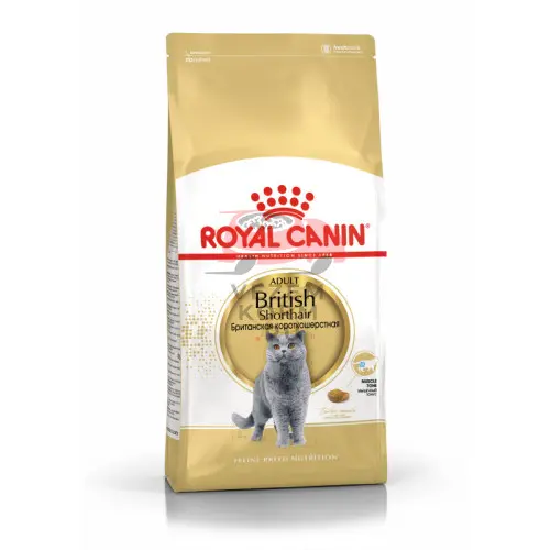 Royal Canin British Shorthair Adult (Роял Канин)  Корм сухой сбалансированный для взрослых британских короткошерстных кошек