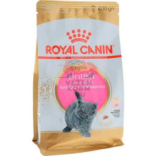 Royal Canin (Роял Канин) British Shorthair Kitten Корм специально для британских короткошерстных котят (в возрасте до 12 месяцев)