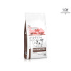 Royal Canin (Роял Канин) Gastrointestinal Low Fat Small Dog Корм для взрослых собак мелких пород  при нарушениях пищеварения