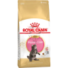 Royal Canin (Роял Канин) Maine Coon Kitten Корм специально для котят породы Мэйн Кун (в возрасте до 15 месяцев)