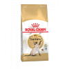 Royal Canin (Роял Канин) Siamese Adult Корм сухой сбалансированный для взрослых сиамских кошек от 12 месяцев