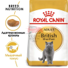Royal Canin British Shorthair Adult (Роял Канин)  Корм сухой сбалансированный для взрослых британских короткошерстных кошек