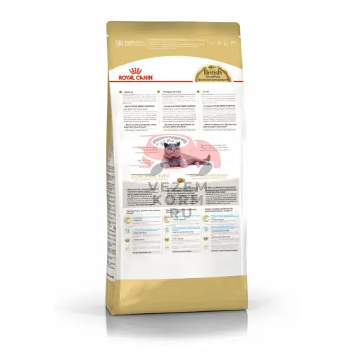 Royal Canin British Shorthair Adult (Роял Канин)  Корм сухой сбалансированный для взрослых британских короткошерстных кошек