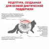Royal Canin (Роял Канин) Gastrointestinal Корм сухой диетический для взрослых кошек при расстройствах пищеварения