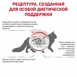 Royal Canin (Роял Канин) Gastrointestinal Корм сухой диетический для взрослых кошек при расстройствах пищеварения