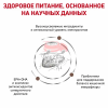 Royal Canin (Роял Канин) Gastrointestinal Корм сухой диетический для взрослых кошек при расстройствах пищеварения
