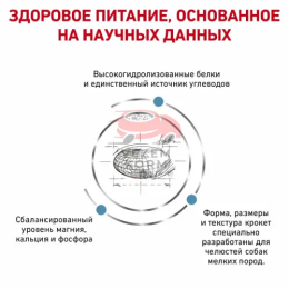 Royal Canin (Роял Канин) Hypoallergenic Small Dog Canine Корм сухой диетический для взрослых собак при пищевой аллергии