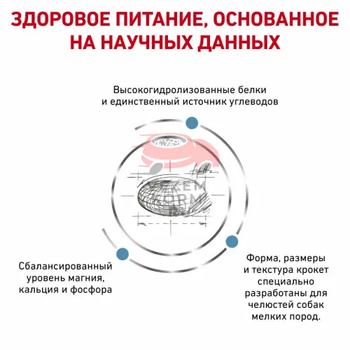 Royal Canin (Роял Канин) Hypoallergenic Small Dog Canine Корм сухой диетический для взрослых собак при пищевой аллергии