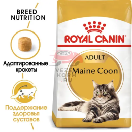 Royal Canin (Роял Канин) Maine Coon Adult Корм сухой сбалансированный для взрослых кошек породы Мэйн Кун