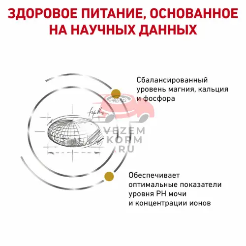 Royal Canin (Роял Канин) Urinary S/O LP 34 Feline Корм сухой диетический для взрослых кошек при мочекаменной болезни