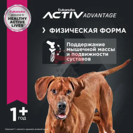 Eukanuba Adult Large Breed сухой корм для собак крупных и очень крупных пород в возрасте от 1 до 6 лет