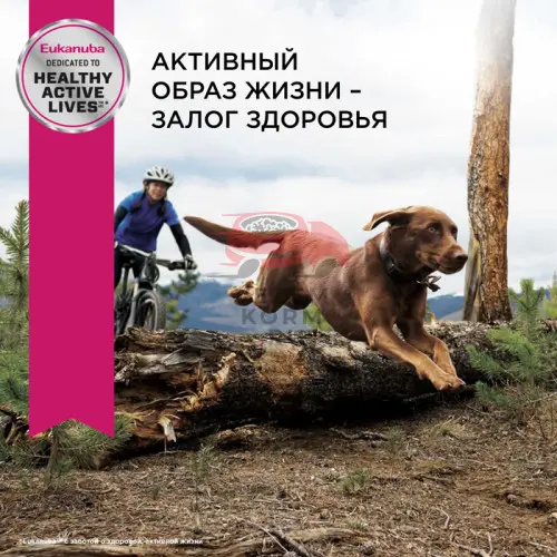Eukanuba Adult Large Breed сухой корм для собак крупных и очень крупных пород в возрасте от 1 до 6 лет
