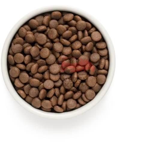 Grandorf (Грандорф) ЯГНЁНОК С ИНДЕЙКОЙ ДЛЯ ЮНИОРОВ СРЕДНИХ И КРУПНЫХ ПОРОД