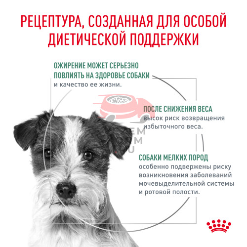 Royal Canin SATIETY WEIGHT MANAGEMENT SMALL DOGS (СЭТАЙЕТИ ВЕЙТ МЕНЕДЖМЕНТ СМОЛ ДОГЗ) Корм сухой полнорационный диетический для взрослых собак мелких пород для 