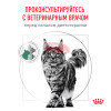 Royal Canin SATIETY WEIGHT MANAGEMENT (СЭТАЙЕТИ ВЕЙТ МЕНЕДЖМЕНТ) Корм сухой полнорационный диетический для взрослых кошек, рекомендуемый для снижения веса.