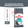 Royal Canin Urinary Care Корм сухой для поддержания здоровья мочевыделительной системы
