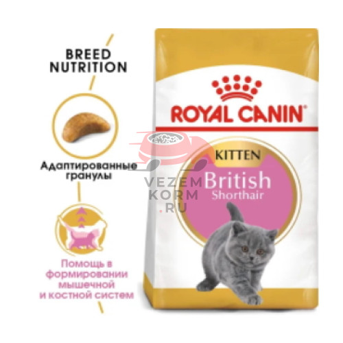 Royal Canin (Роял Канин) British Shorthair Kitten Корм специально для британских короткошерстных котят (в возрасте до 12 месяцев)