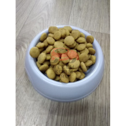 Royal Canin (Роял Канин) Medium Dermacomfort Корм для взрослых и стареющих собак средних размеров при раздражениях и зуде кожи, связанных с повышенной чув