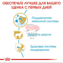 Royal Canin (Роял Канин) Yorkshire Terrier Puppy Корм для  щенков породы йоркширский терьер в возрасте до 10 месяцев