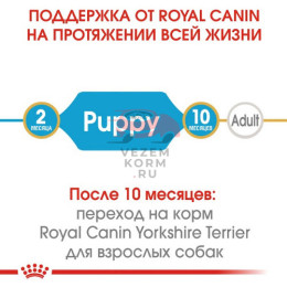 Royal Canin (Роял Канин) Yorkshire Terrier Puppy Корм для  щенков породы йоркширский терьер в возрасте до 10 месяцев