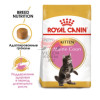 Royal Canin (Роял Канин) Maine Coon Kitten Корм специально для котят породы Мэйн Кун (в возрасте до 15 месяцев)