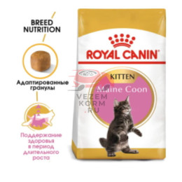 Royal Canin (Роял Канин) Maine Coon Kitten Корм специально для котят породы Мэйн Кун (в возрасте до 15 месяцев)