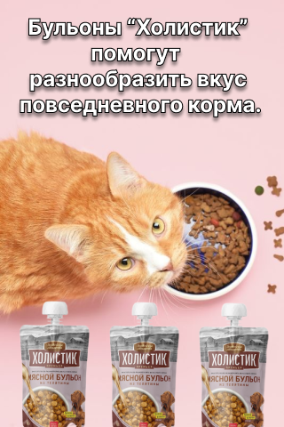 [Alt]